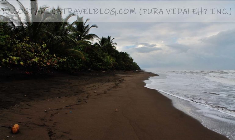(2021) Costa Rica in April: Costs, Weather, Wildlife, Roads, Tourism Closures And More!
