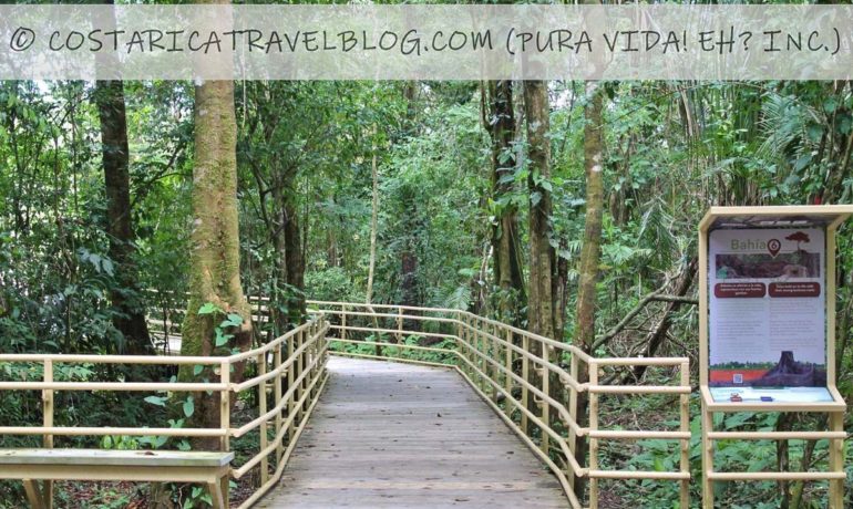 (2021) Costa Rica in June: Costs, Weather, Wildlife, Roads, Tourism Closures And More!