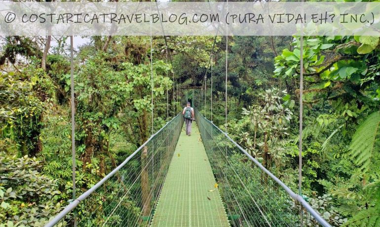 (2021) Monteverde Sky Walk Hanging Bridges: Everything You Need To Know