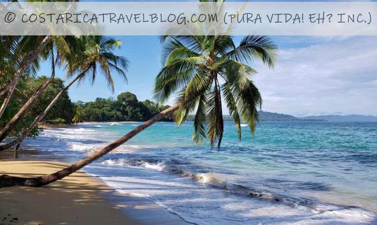 (2021) Photos of Playa Arrecife Costa Rica (Caribbean) From Our Personal Collection