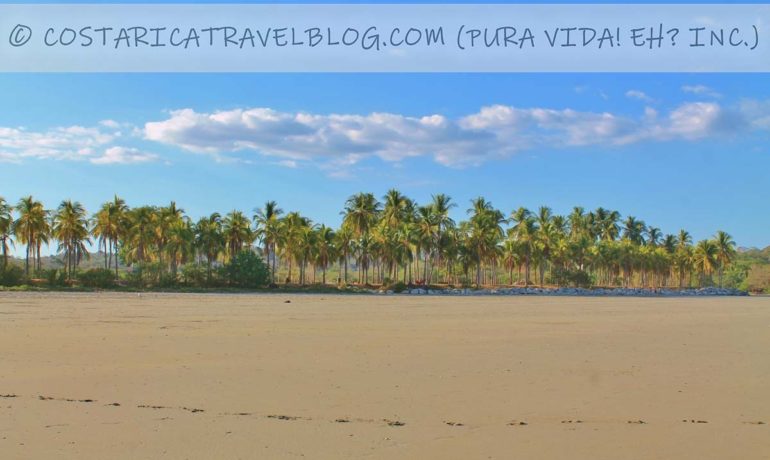 (2021) Photos of Playa Cangrejal Costa Rica (Nicoya Peninsula) From Our Personal Collection