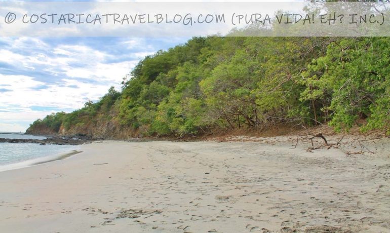 (2021) Photos of Playa Dantita Costa Rica (Guanacaste) From Our Personal Collection